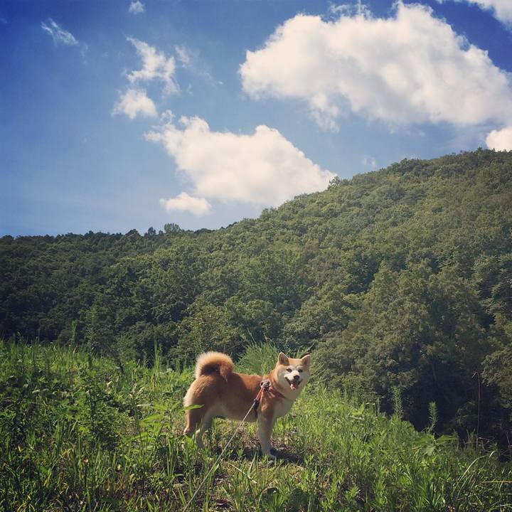 70a1122a 646e 4d59 96a0 1854471a7756