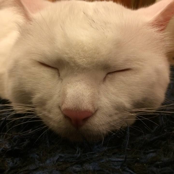 70a13e77 0ce1 4eb6 b4a0 b924bddd527e