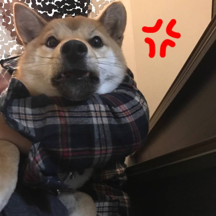 70a14c70 adde 43c5 be40 4f47098111a6