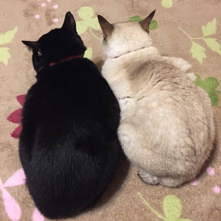 70a1ef9b 11b0 4a14 9095 708c7c569ed8