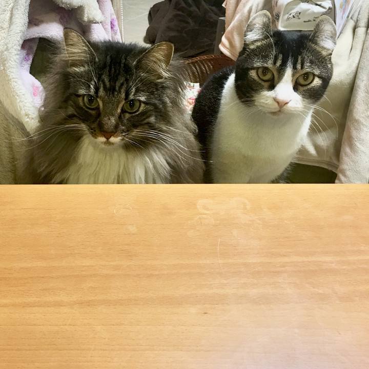 70a271e6 bb98 4176 be42 69beac626491