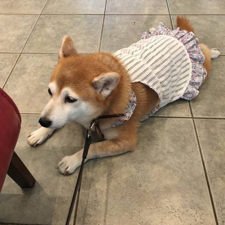 70a27c73 5af1 4216 b8cb 222581bb876d