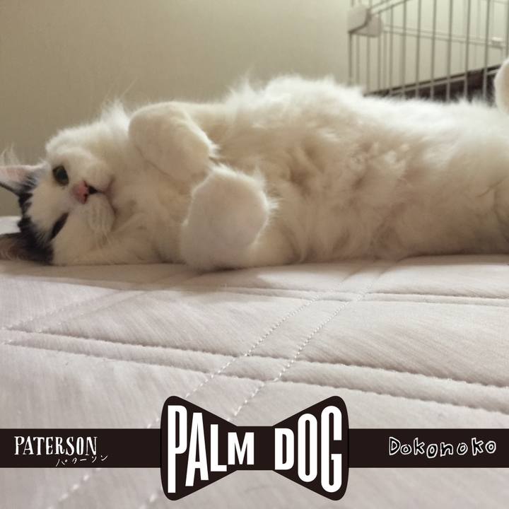 70a3f45b c82b 4fba a4cd 07332be6baea