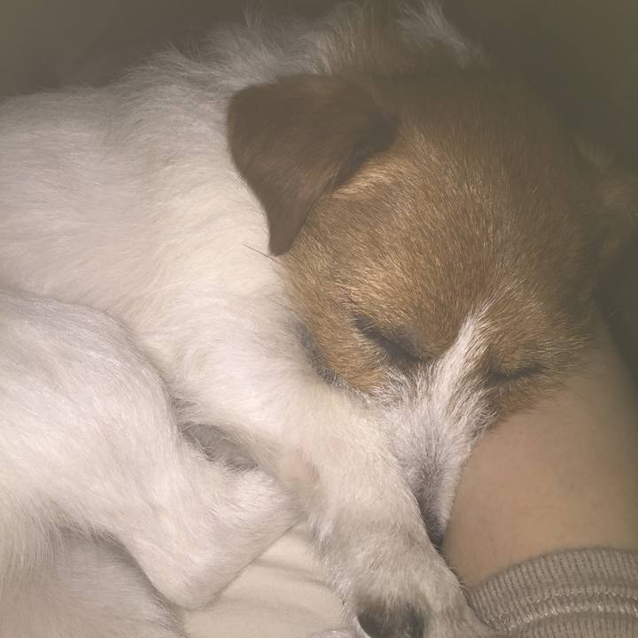 70a44581 8409 43e9 a78e 6726997625dd