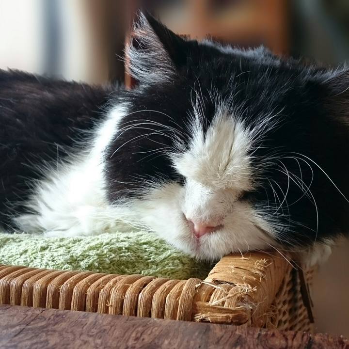 70a494db f797 4218 820c 9d7b30d8fa68