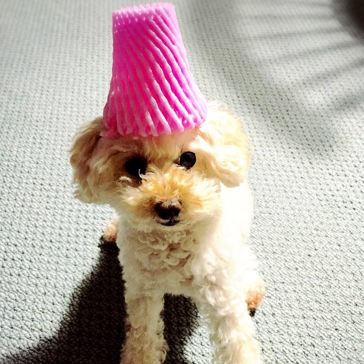 70a49b1e 64aa 449b 8169 07ea042e7123