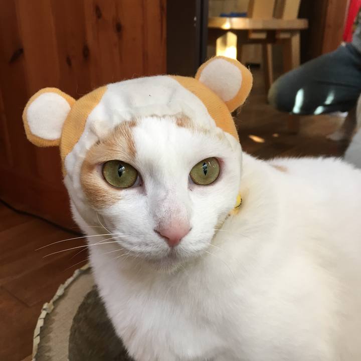 70a4a23e 21a9 4aa4 9da1 3dc3f298b3fd