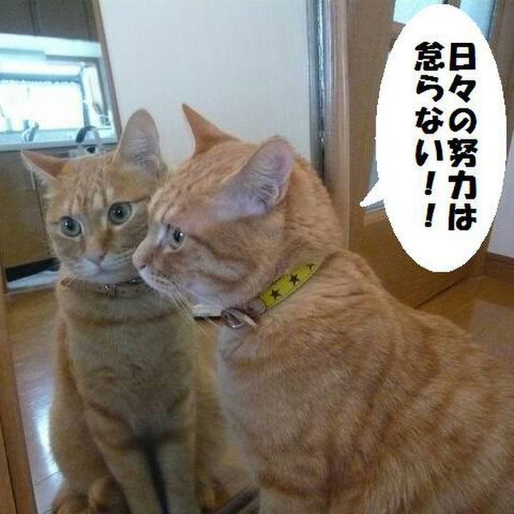 70a509a7 ef48 4fe2 8228 d5f93b0380cb