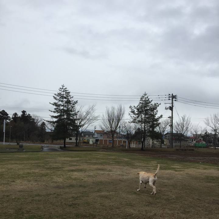 70a548ed b97f 4e92 a863 87ffa62deb54