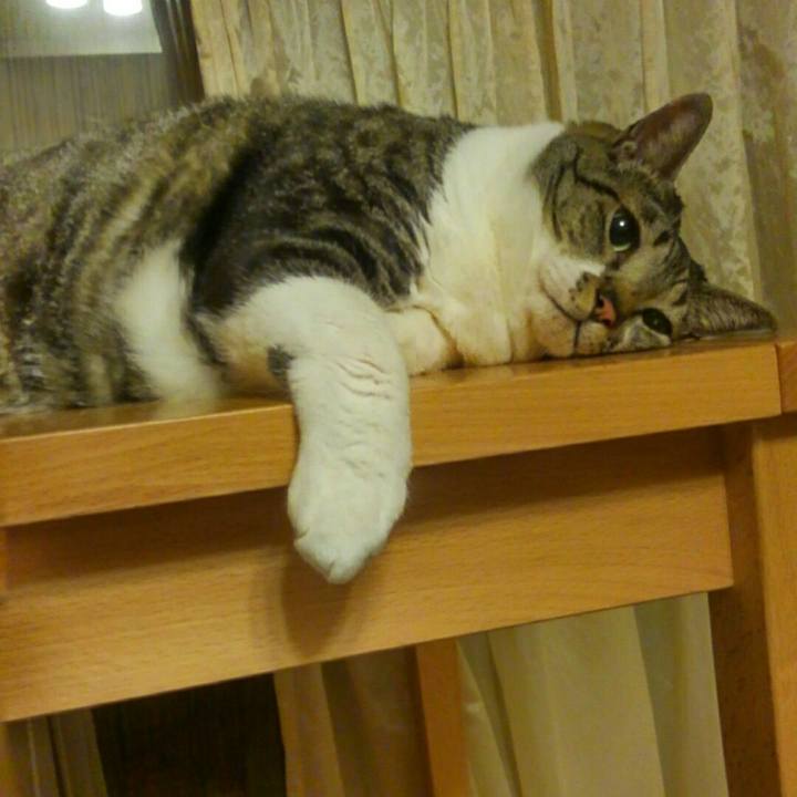 70a54f3d 9412 4a1f 9813 fc0da6332301