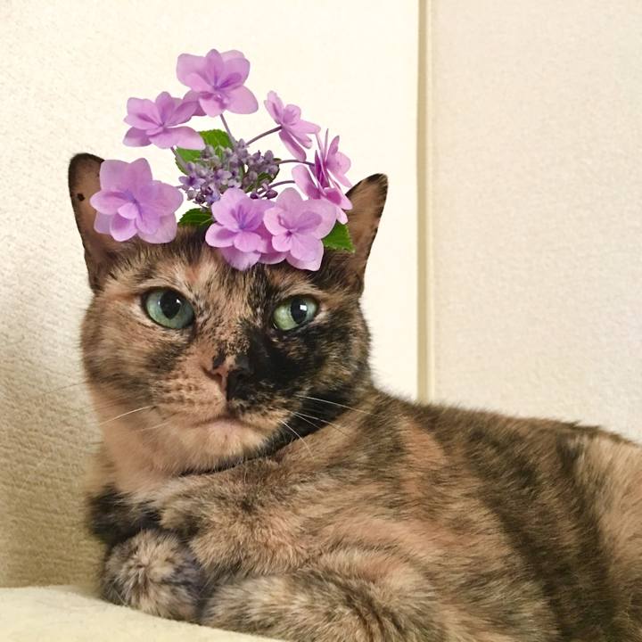 70a57cde 61fb 4c96 8fe2 fd9dcb776b75