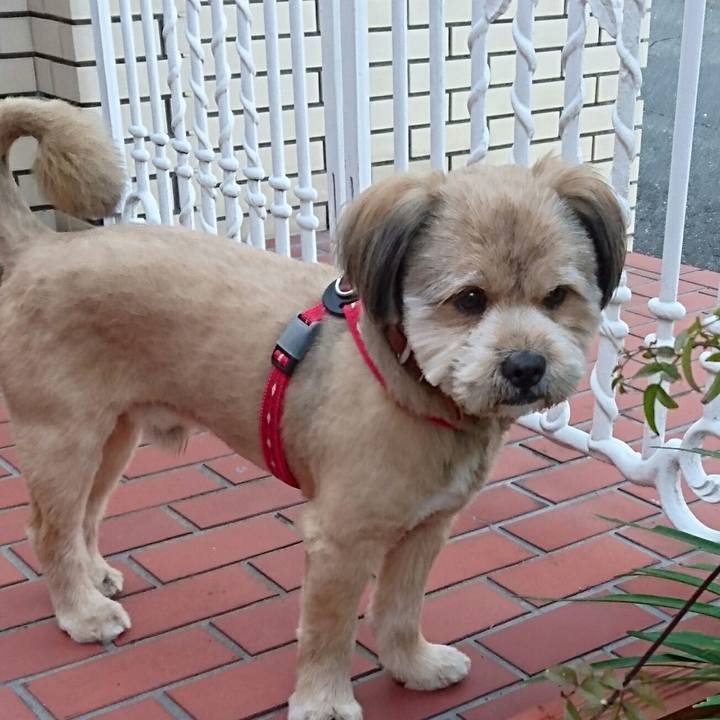 70a72a1c 5b7f 4b10 bded 32e14a6bbec9