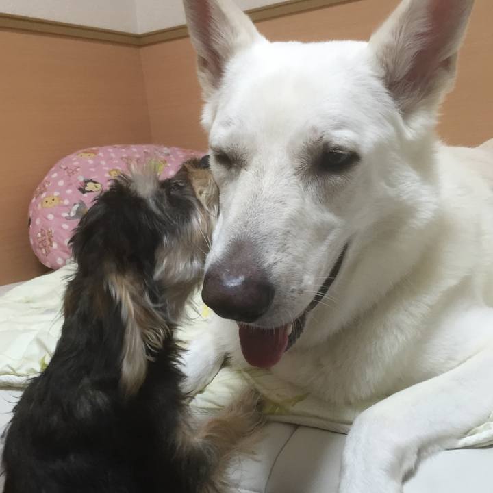 70a731dc 8376 4009 b147 db71a0a7fde3