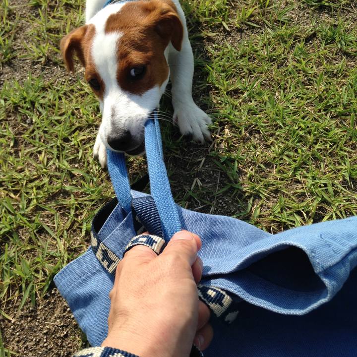 70a765c0 4f0e 430d 925f ca4f1607343b