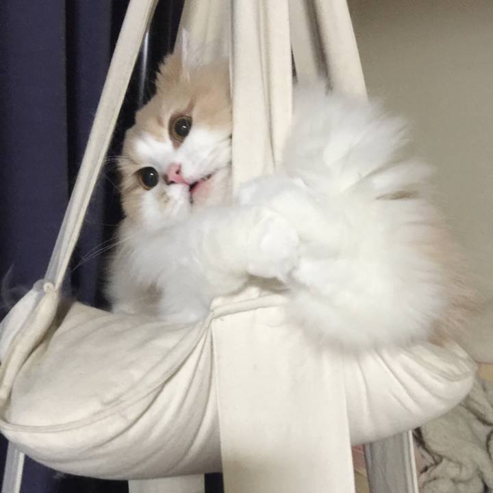 70a7bcbc dd09 4fe8 9202 e83e0336a04c