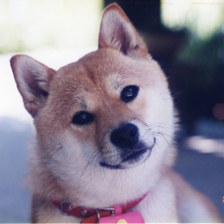 70a7d33d b7c9 4d66 b50c 8180e104337e