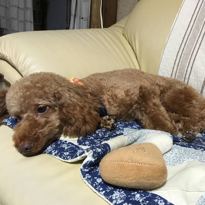 70a879cb 9bd9 4117 949d 83da52bf21ac