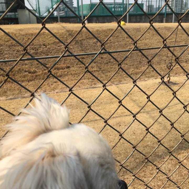 70a889e5 d79c 4838 961c 37aac3cf11e8