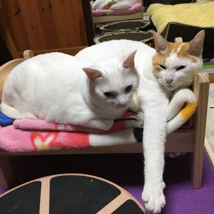 70a8c983 11cb 47a1 bea8 6c27413eb62a