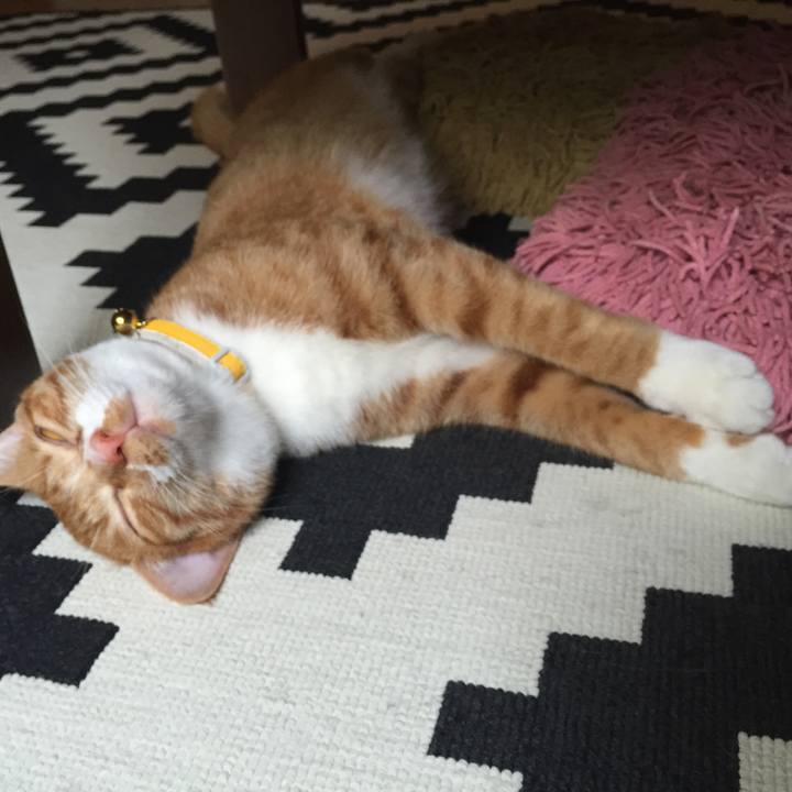 70a95dc9 10c2 4bd3 9fa7 c7f4bc790b23