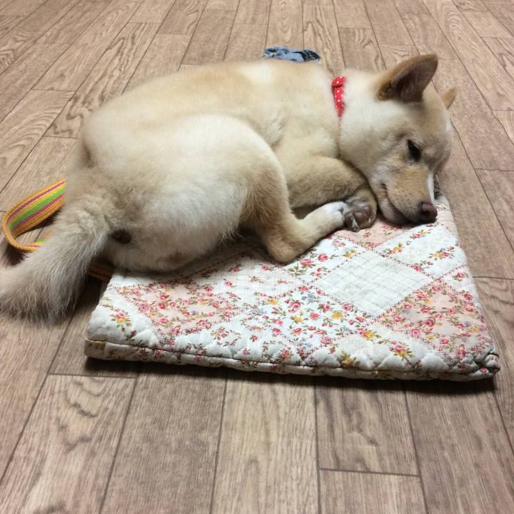 70a98dff 0b47 4aa4 abc3 291c57da9ce2