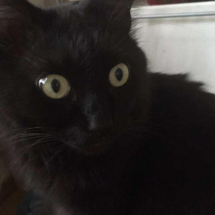 70aa05fb 9385 41d6 8631 99096a2ca22f