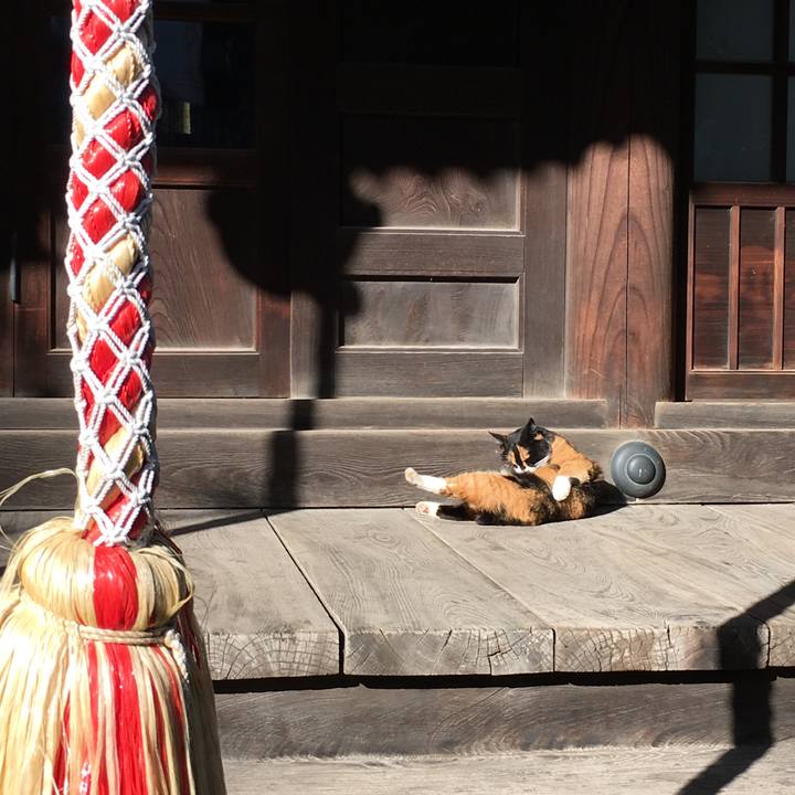 70aa0798 25da 4daa 8f27 08137a51d70b