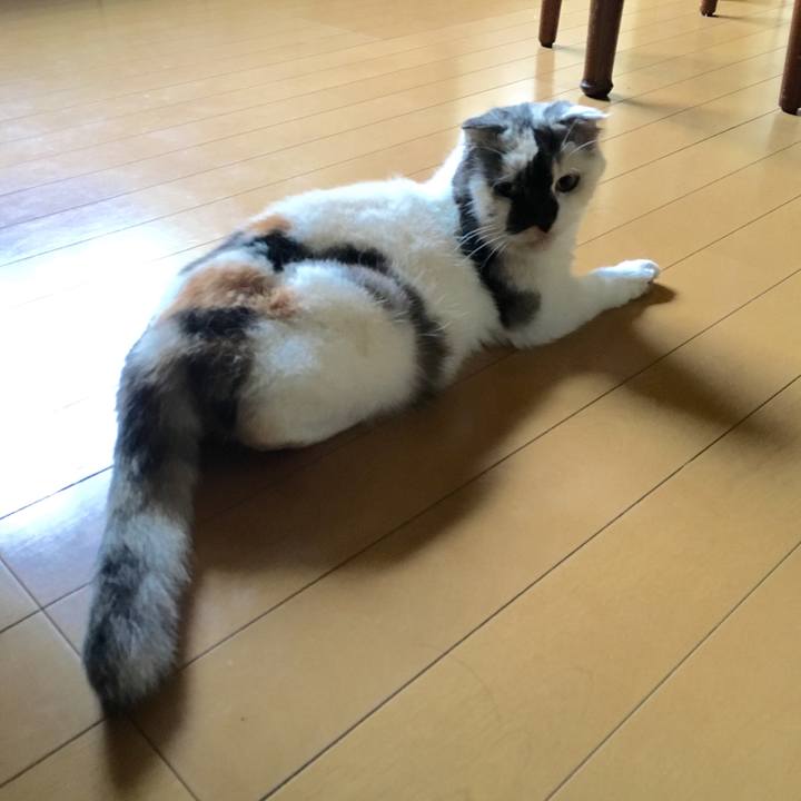 70aa22f1 8b73 43fb b6e1 e81d878d0bb2