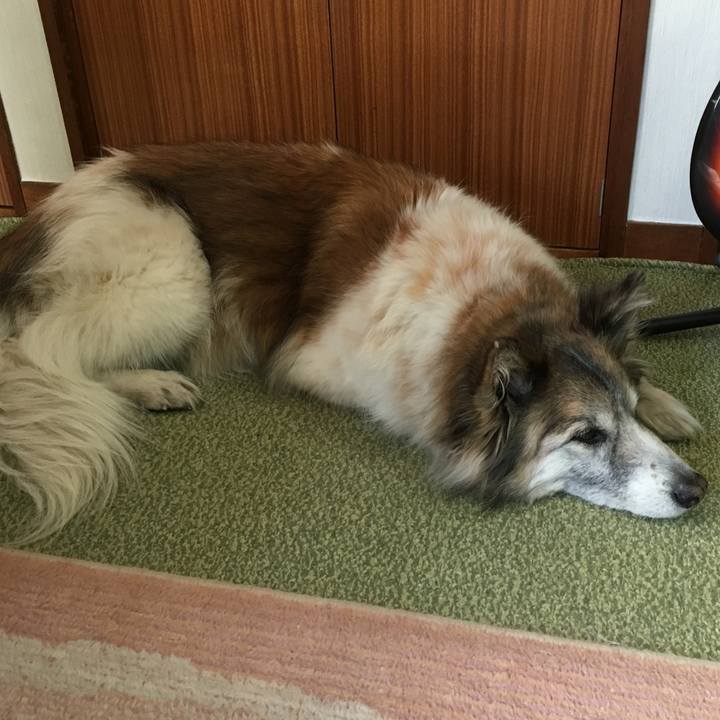 70aa2d01 9a91 4d61 81b8 a708050a6b80