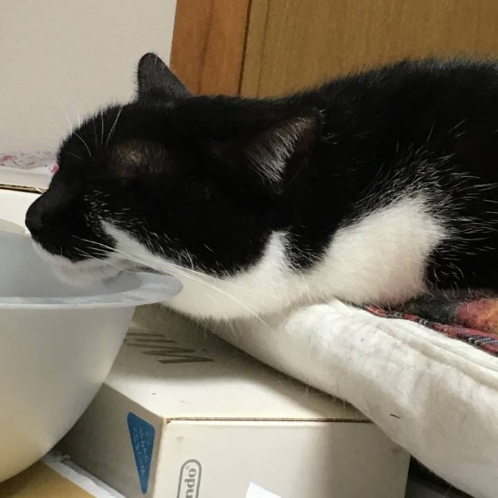 70aa5630 3c03 4bba 9920 3a5b0939c405