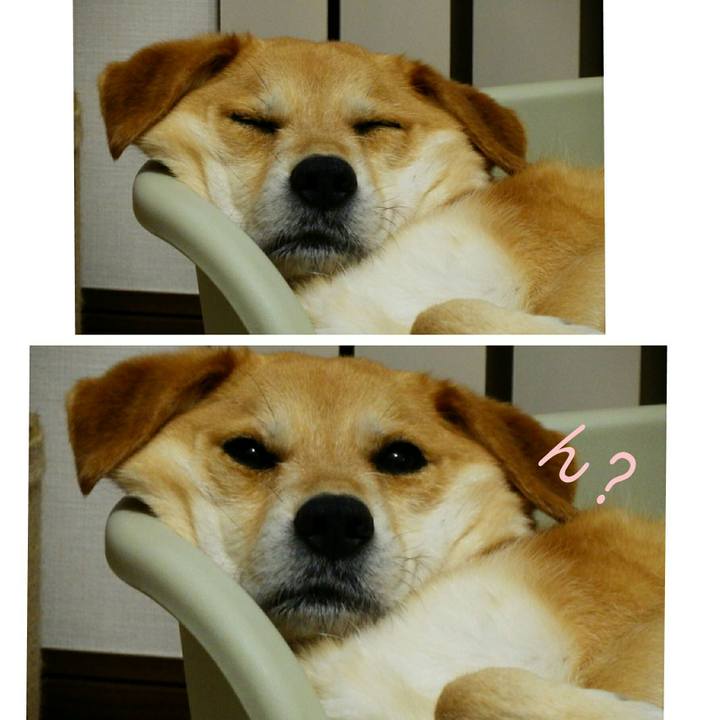 70aac153 5f13 44ec 97eb 11d1e3115262