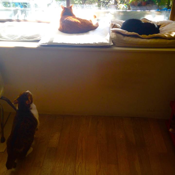 70ab5e9d 065d 4000 9c30 cd900550659d