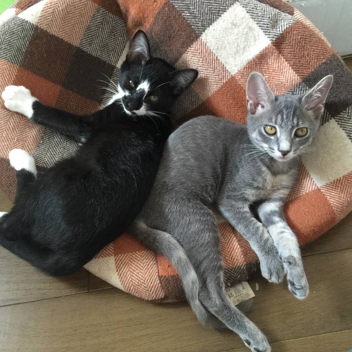 70ab6395 ef60 4da2 9ae4 02ec6242bf93