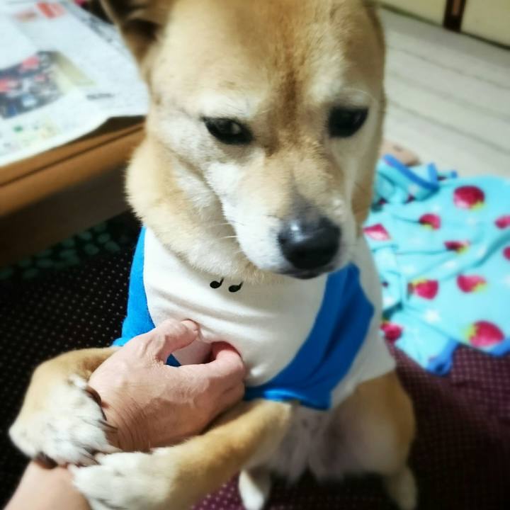 70ab68fd 85b3 4100 bf1d ca851e0dd47a