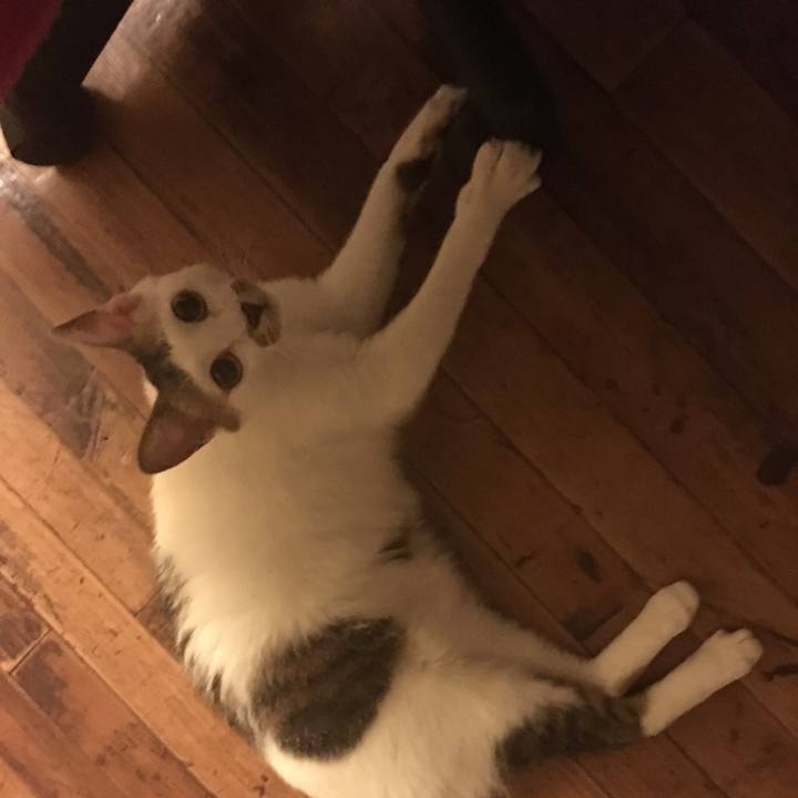 70abe725 5720 49b5 a4cf 543e626cdf64