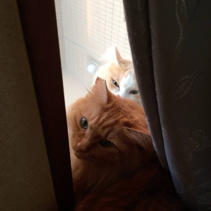 70ac6360 e147 4746 9358 82b7832907b2