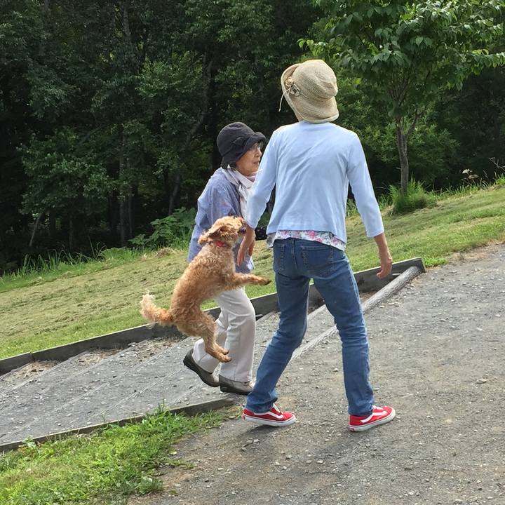 70acdc4d b290 4463 a996 253bcb672f76