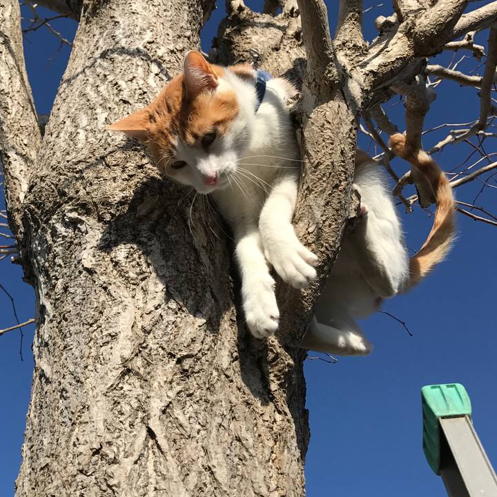 70ad5b38 705b 4abf 9803 78cbd8e2d713