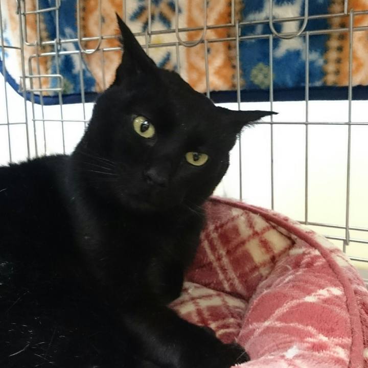 70adbd34 83ab 4f5d a8bf 3db30da282f3