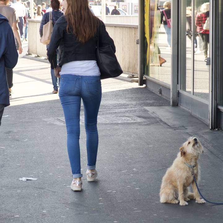 70add2ff 486f 408d afca 533e89fba082