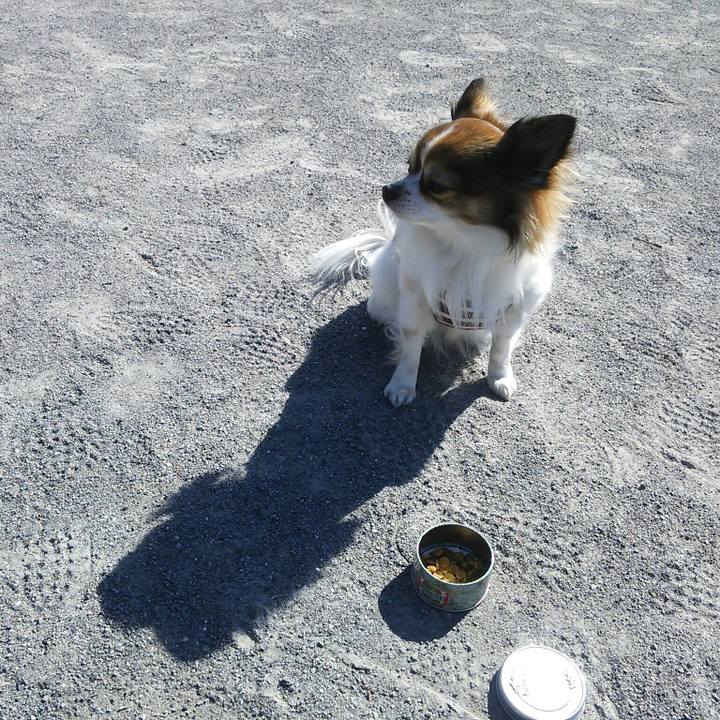 70ae19d1 878c 4797 aa64 c03126182eea