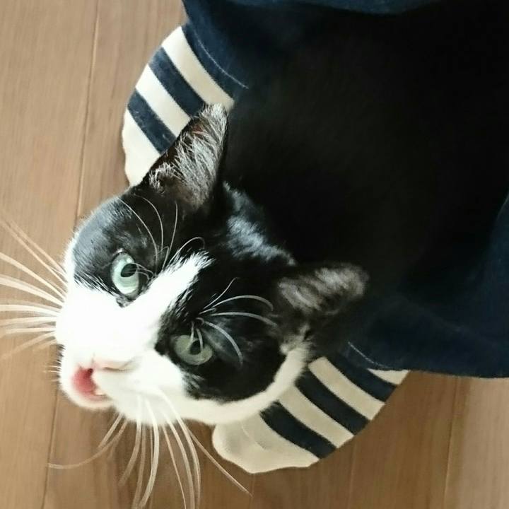 70ae3aa1 56a6 454d a315 82a07bd44508