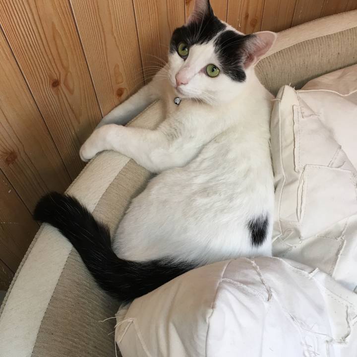 70aee677 03f8 47ae b8b2 cf5f0d72ac9e