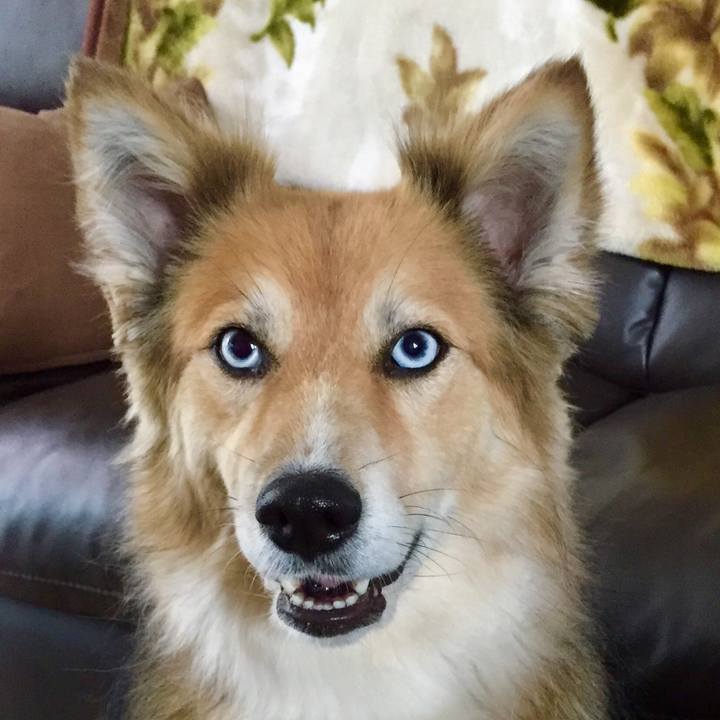 70b046b5 3182 4cde b69b b53463180a82