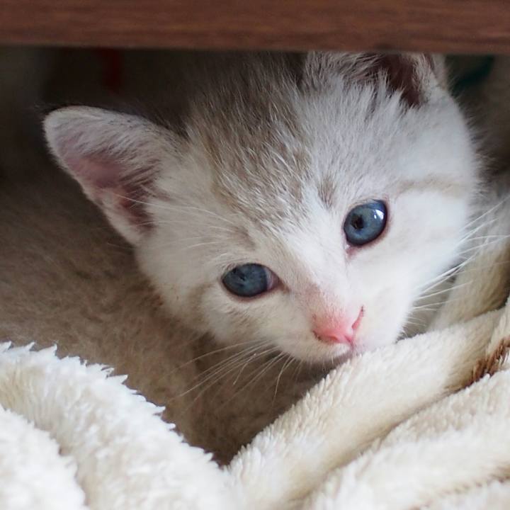 70b06f6a 91a6 4e29 991b ea9cd753d069