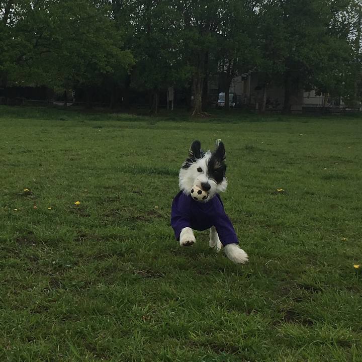 70b0bc7e e39c 402a 8ad1 9ac803420c2c