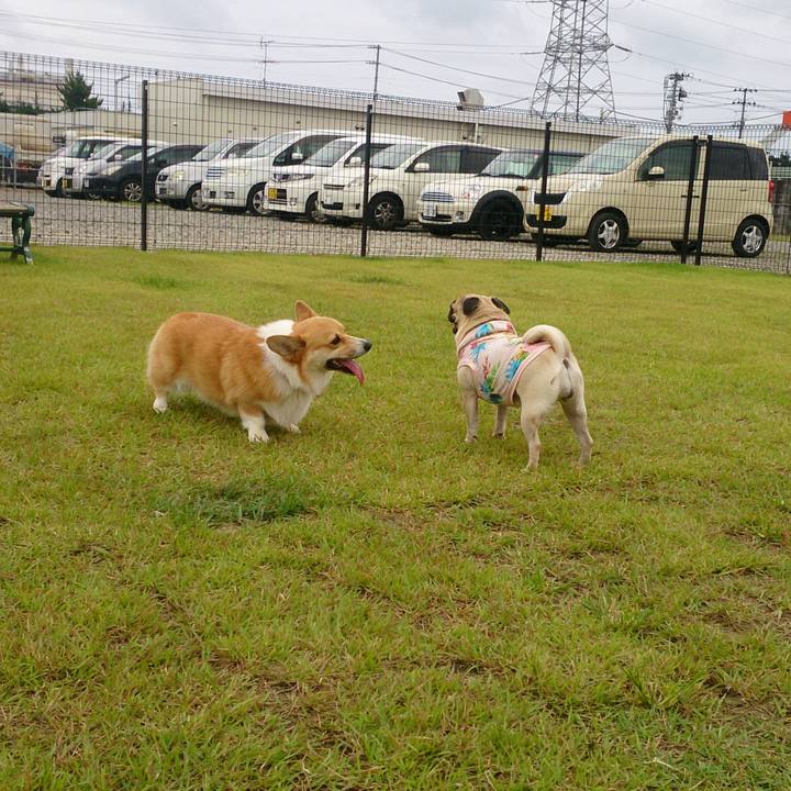 70b0c933 0dea 4f85 ae24 1bd6836f567f