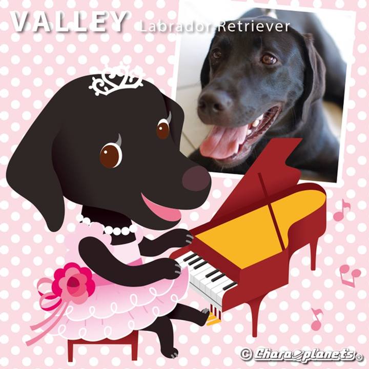 70b0cbc9 a357 40c5 9145 e6ab70f75f4f