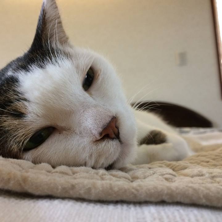 70b1b715 31da 43c7 b50c bbc119cd11b0