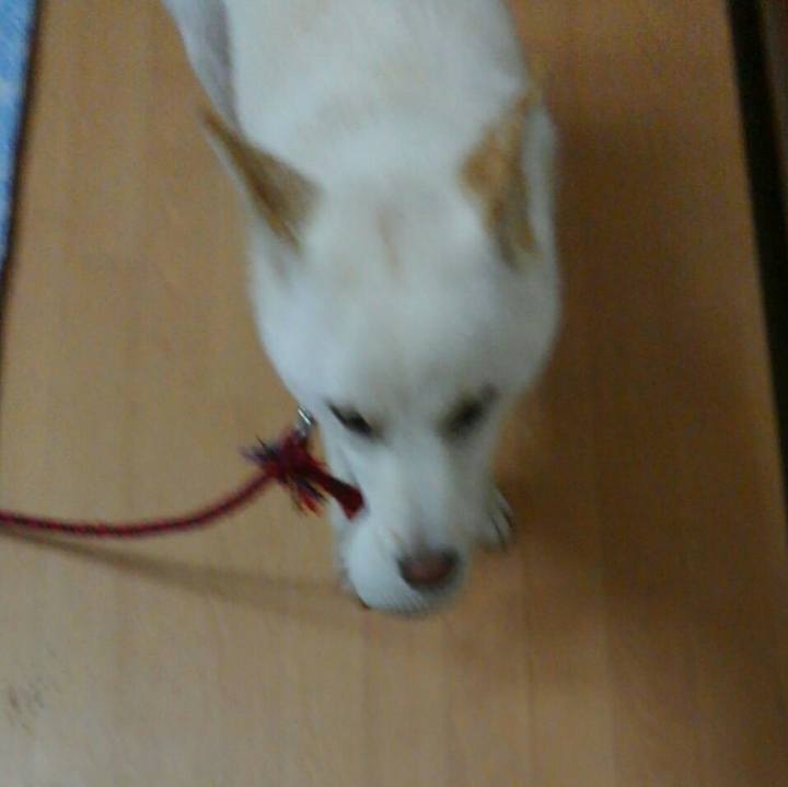 70b1e258 2fca 4e88 94c3 43d86fcfd0d8